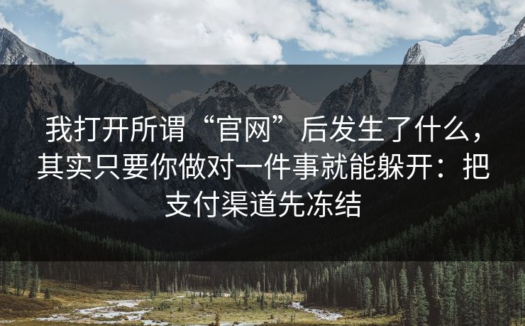 我打开所谓“官网”后发生了什么，其实只要你做对一件事就能躲开：把支付渠道先冻结