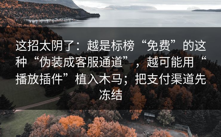 这招太阴了：越是标榜“免费”的这种“伪装成客服通道”，越可能用“播放插件”植入木马；把支付渠道先冻结