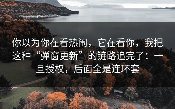 你以为你在看热闹，它在看你，我把这种“弹窗更新”的链路追完了：一旦授权，后面全是连环套