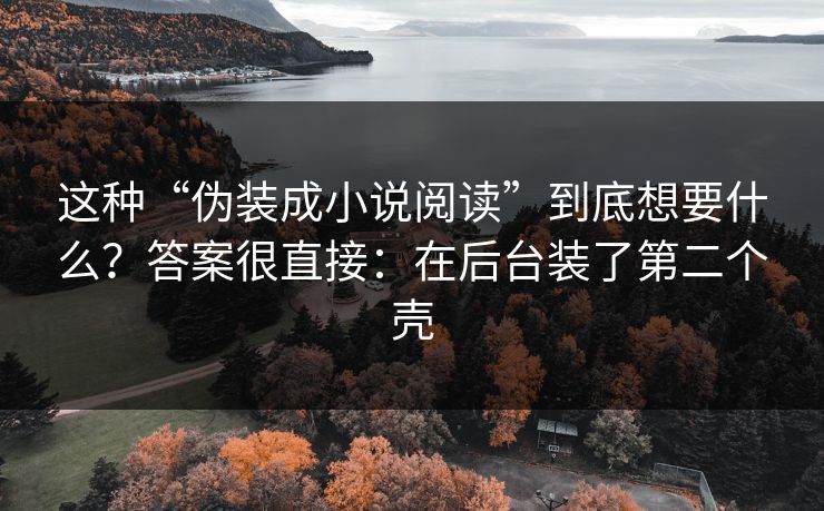 这种“伪装成小说阅读”到底想要什么？答案很直接：在后台装了第二个壳  第1张