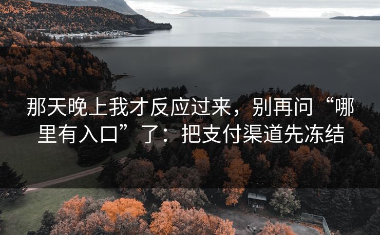 那天晚上我才反应过来，别再问“哪里有入口”了：把支付渠道先冻结