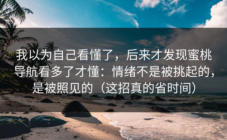 我以为自己看懂了，后来才发现蜜桃导航看多了才懂：情绪不是被挑起的，是被照见的（这招真的省时间）