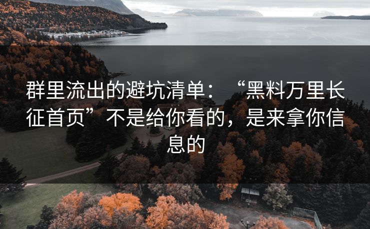 群里流出的避坑清单：“黑料万里长征首页”不是给你看的，是来拿你信息的