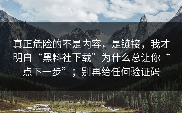 真正危险的不是内容，是链接，我才明白“黑料社下载”为什么总让你“点下一步”；别再给任何验证码