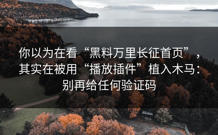 你以为在看“黑料万里长征首页”，其实在被用“播放插件”植入木马：别再给任何验证码