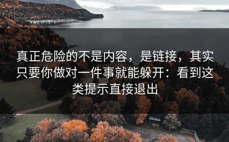 真正危险的不是内容，是链接，其实只要你做对一件事就能躲开：看到这类提示直接退出