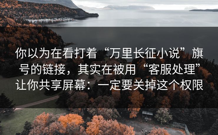 你以为在看打着“万里长征小说”旗号的链接，其实在被用“客服处理”让你共享屏幕：一定要关掉这个权限