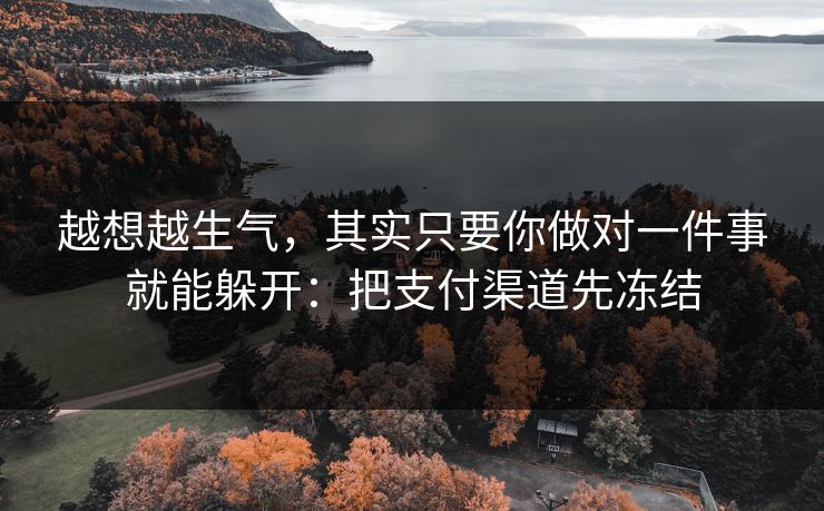 越想越生气，其实只要你做对一件事就能躲开：把支付渠道先冻结