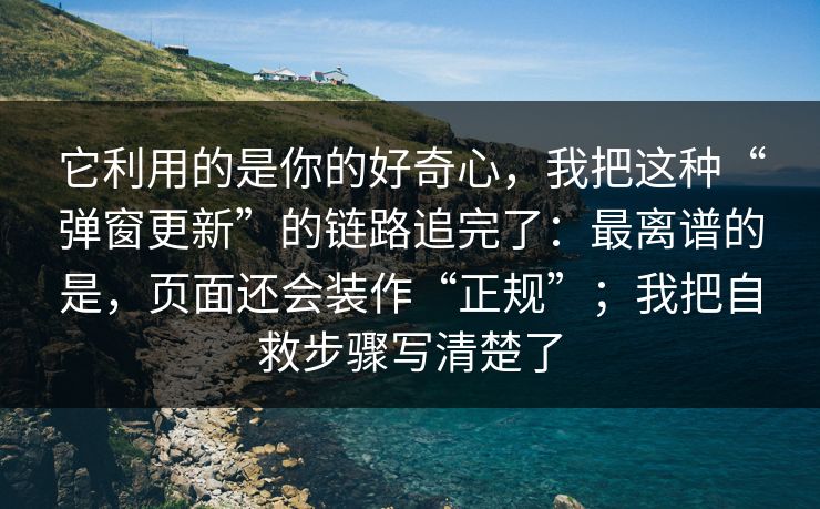 它利用的是你的好奇心，我把这种“弹窗更新”的链路追完了：最离谱的是，页面还会装作“正规”；我把自救步骤写清楚了